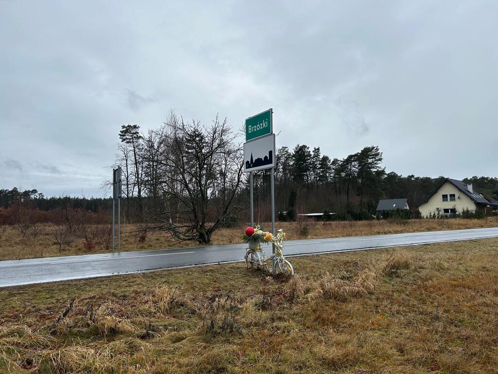 Brzózki dwie działki obok siebie - obrazek 7