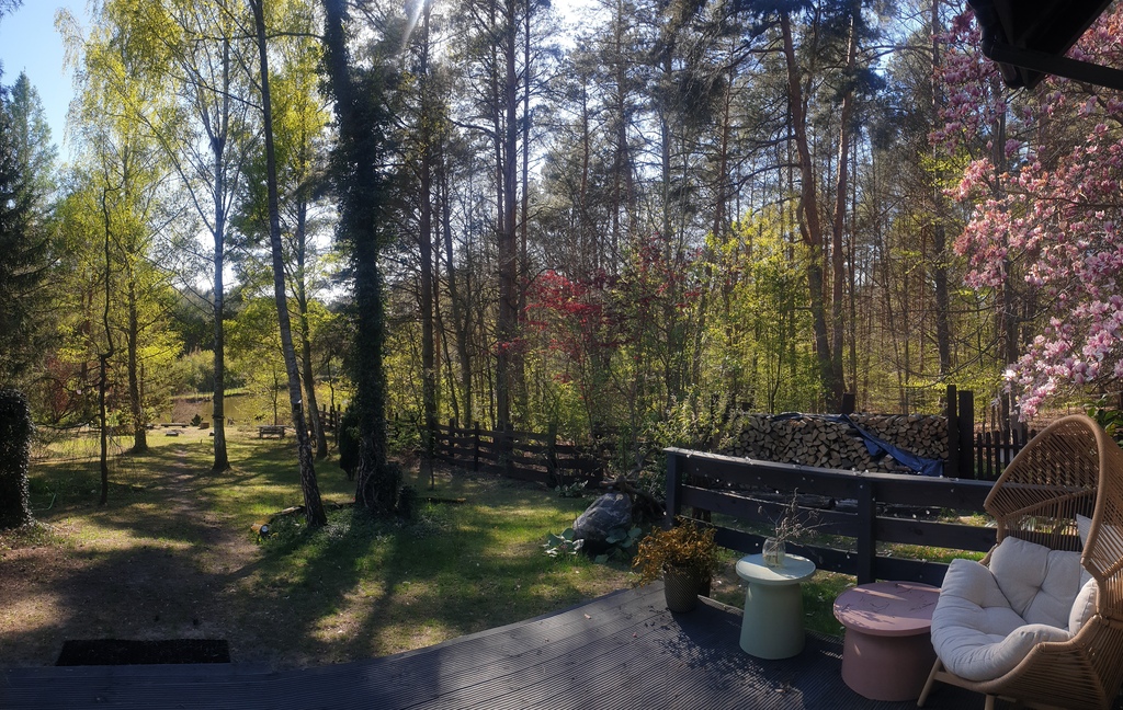 Jezierzyce/dom wolnostojący/działka 2112 m2/staw - obrazek 6