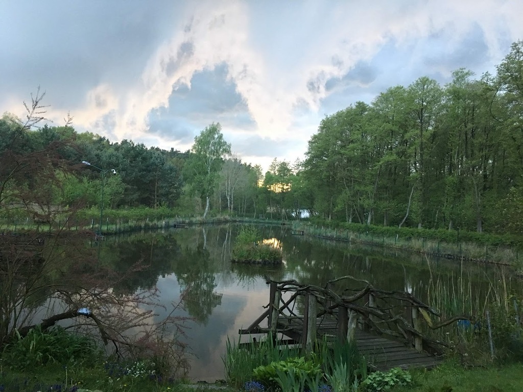 Jezierzyce/dom wolnostojący/działka 2112 m2/staw - obrazek 26