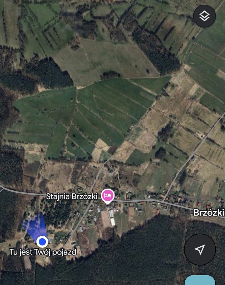 Brzózki dwie działki obok siebie - obrazek 12