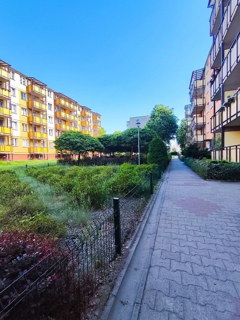 Na wynajem 3 pokoje z dużym balkonem - obrazek 13