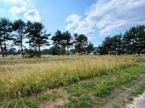 Działka 2684 m² w zielonej okolicy - Modrzewie