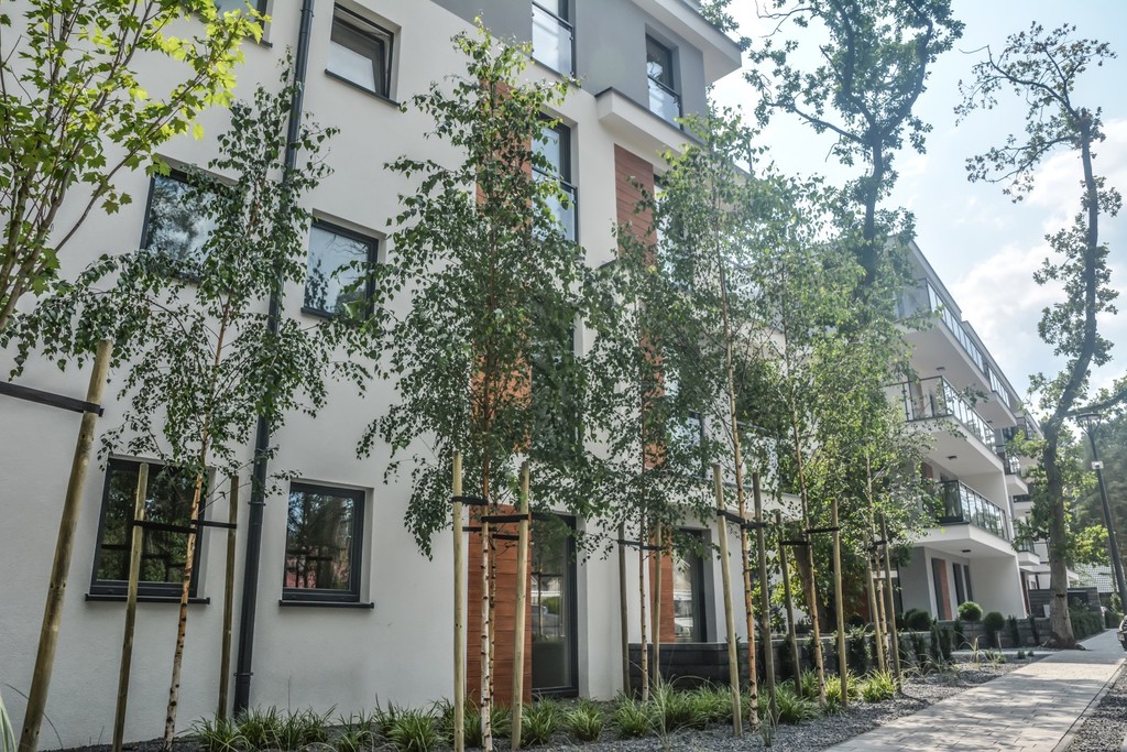 APARTAMETY W POBIEROWIE - obrazek 11