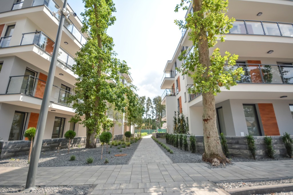 APARTAMETY W POBIEROWIE - obrazek 12