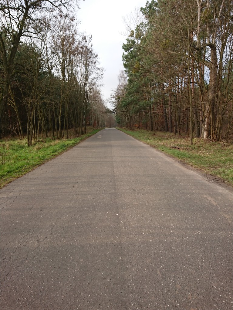 Działka na sprzedaż – Choszczeński, Bierzwnik, Starzyce - obrazek 7