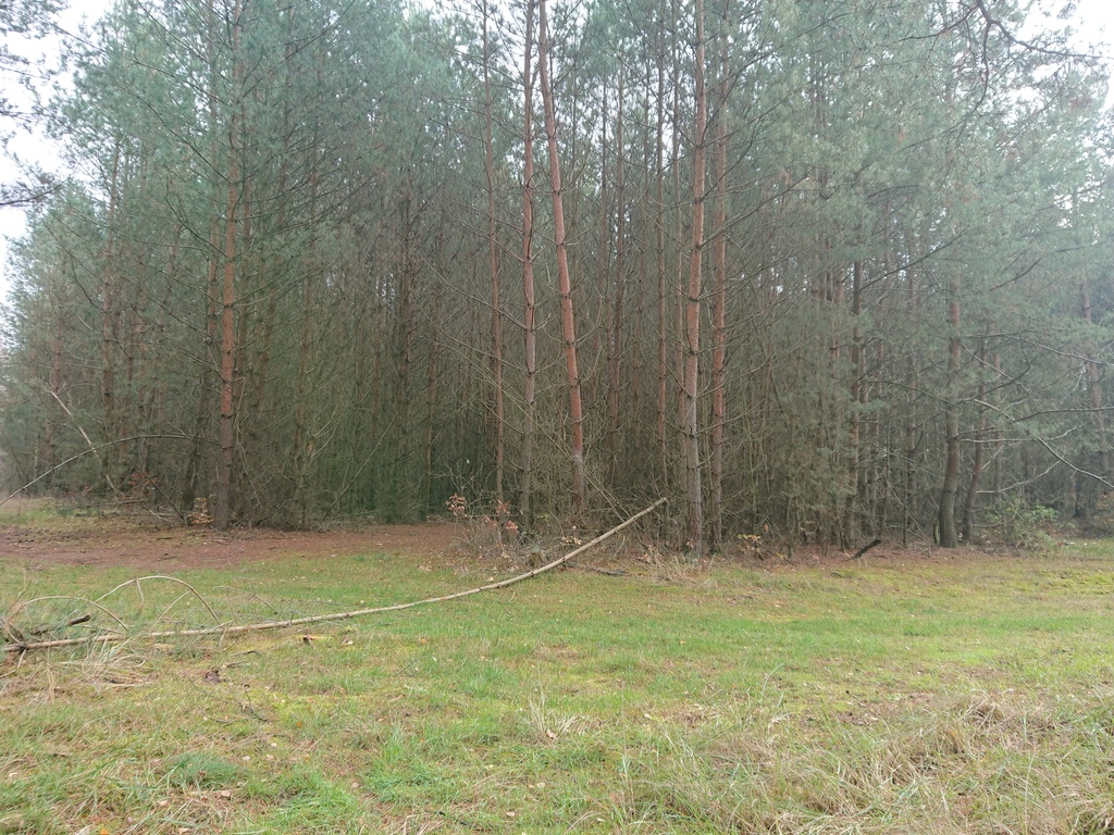 Działka na sprzedaż – Choszczeński, Bierzwnik, Starzyce