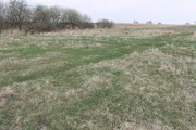 Działka na sprzedaż – Policki, Kołbaskowo, Barnisław
