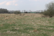 Działka na sprzedaż – Policki, Kołbaskowo, Barnisław - obrazek 5