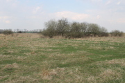 Działka na sprzedaż – Policki, Kołbaskowo, Barnisław - obrazek 7
