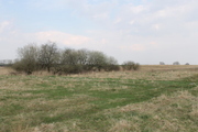 Działka na sprzedaż – Policki, Kołbaskowo, Barnisław - obrazek 8