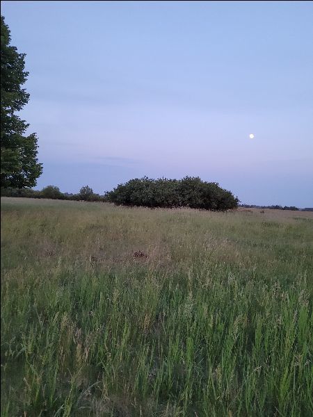 Działka na sprzedaż – Goleniowski, Goleniów, Lubczyna