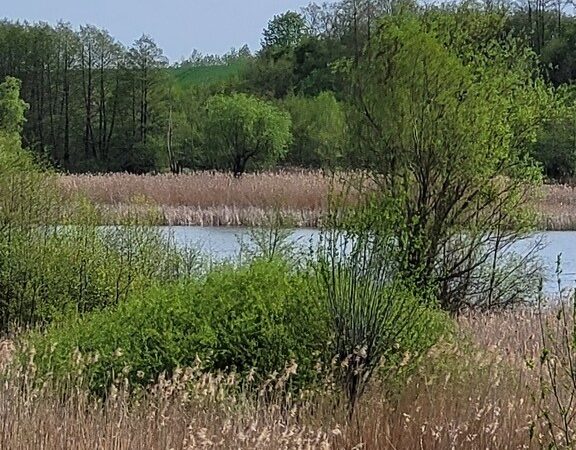 Działka na sprzedaż – Choszczeński, Bierzwnik, Zieleniewo