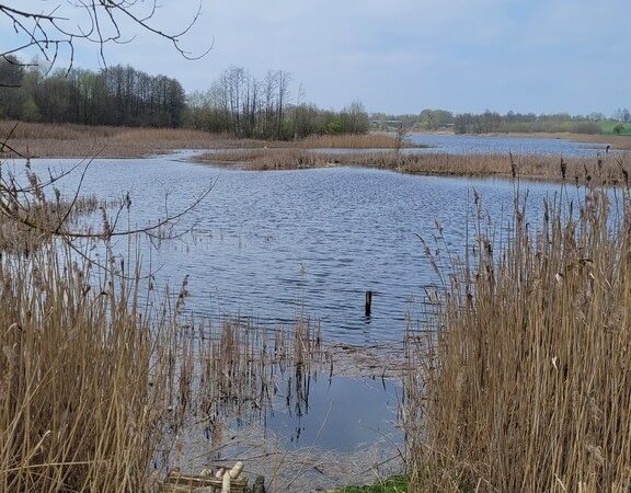 Działka na sprzedaż – Choszczeński, Bierzwnik, Zieleniewo